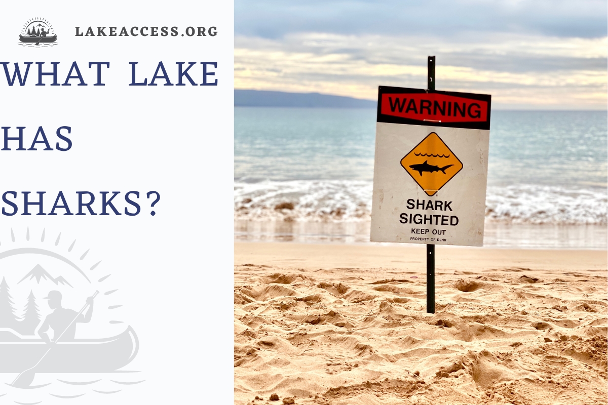 What lake has sharks?