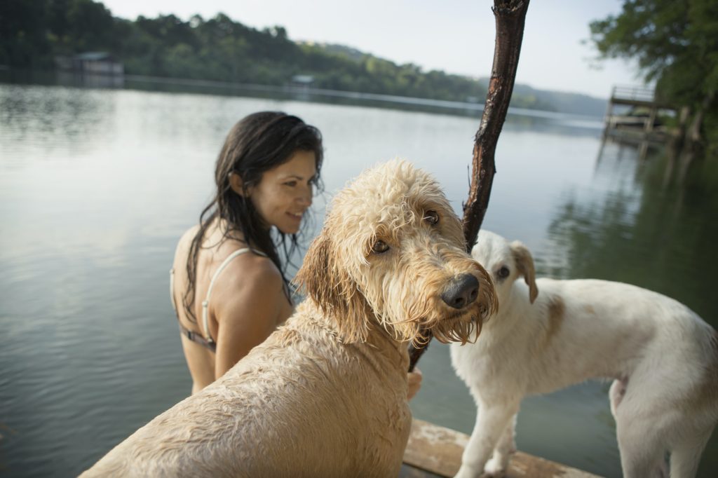 A woman swimming with her two dogs in a lake.