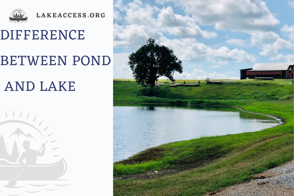 The Key Difference Between Pond and Lake
