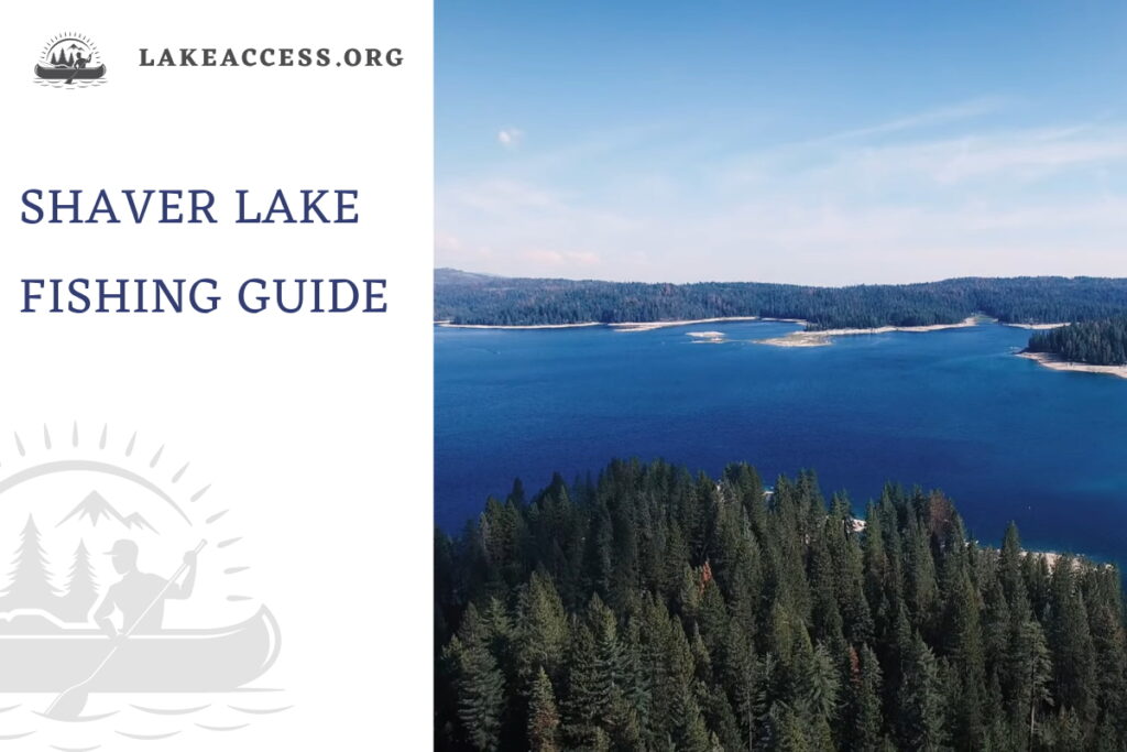 Shaver Lake Fishing All You Need to Know Lake Access