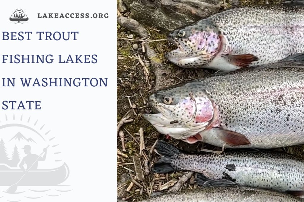 The Best Trout Fishing Lake in Washington State Lake Access