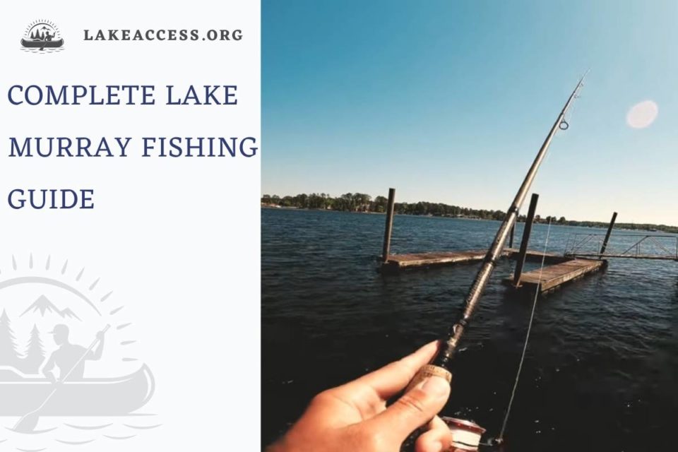Lake Murray Fishing A Complete Guide Lake Access