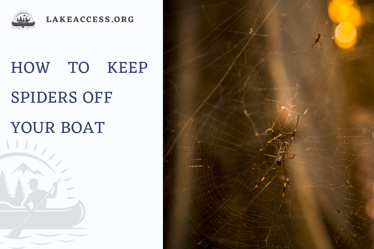 How to Keep Spiders Off Your Boat