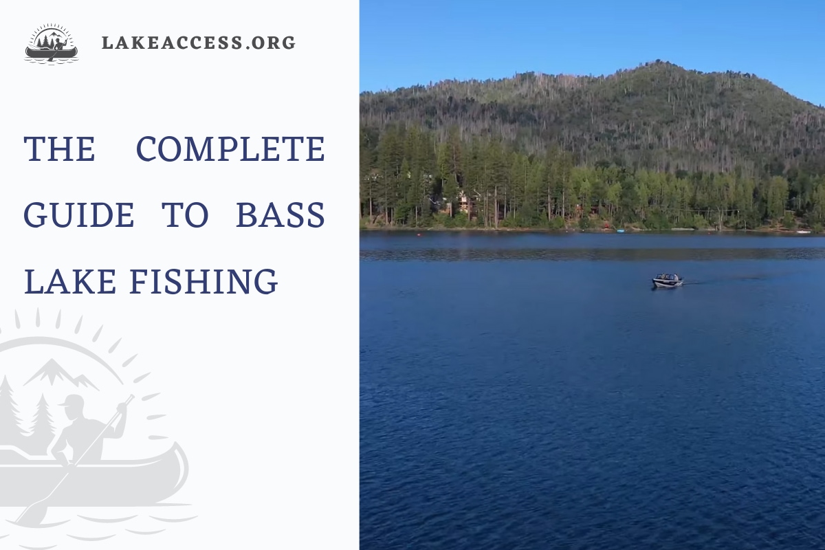 The Complete Guide to Bass Lake Fishing