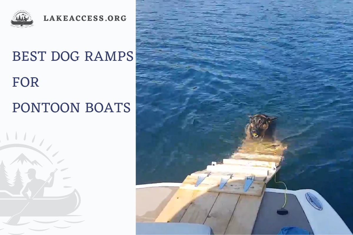 Best Dog Ramps for Pontoon Boats