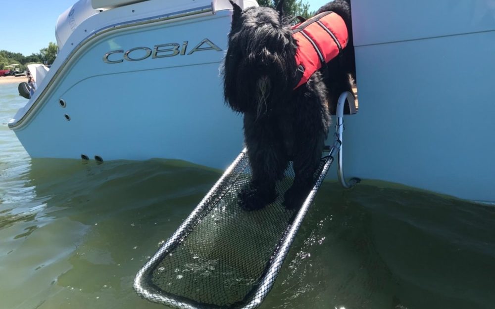 Drifter Marine Dog Boarding Boat Ladder