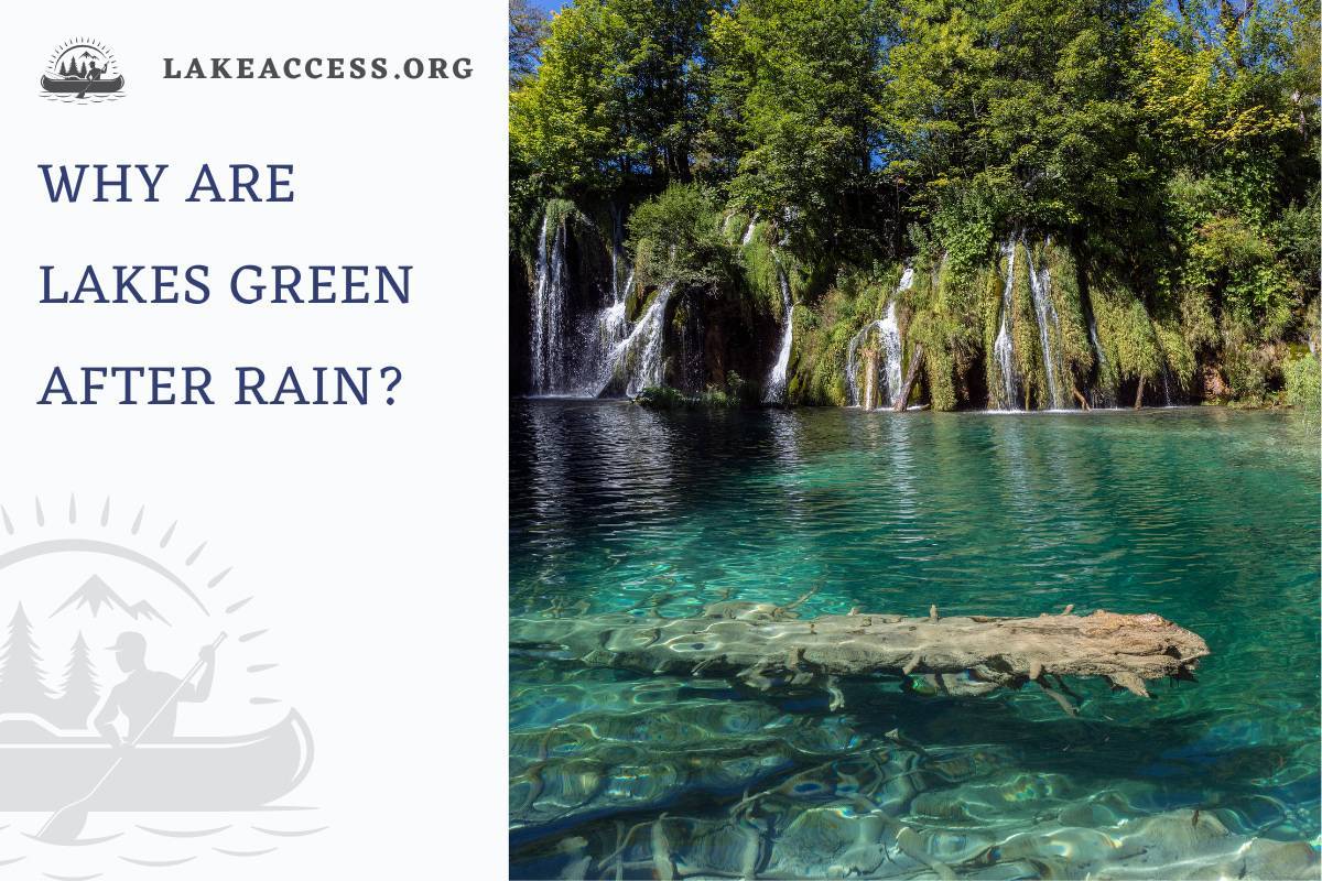 Why Are Lakes Green After Rain? Explained