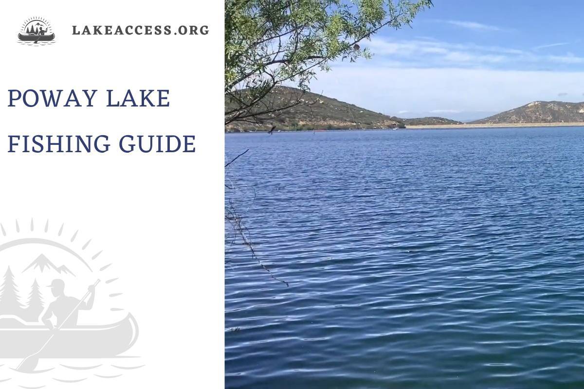 Poway Lake Fishing: Tips, Tricks, License, and More