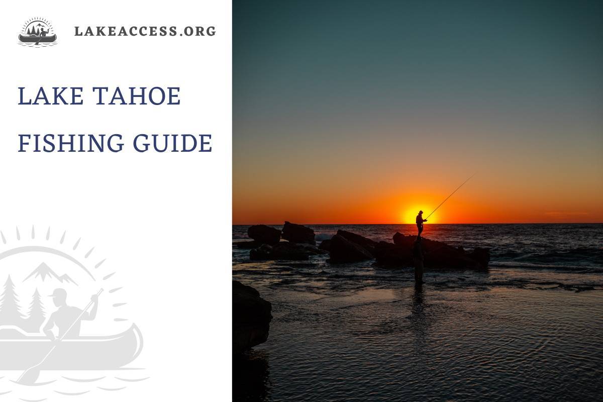 Lake Tahoe Fishing Guide: Tips, Species, and More