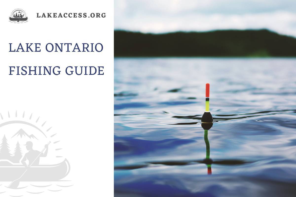 Lake Ontario Fishing Guide