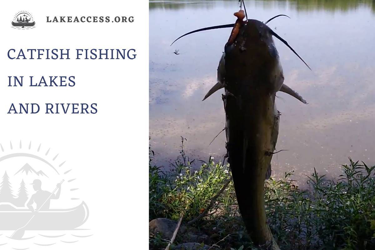Catfish Fishing in Lakes and Rivers