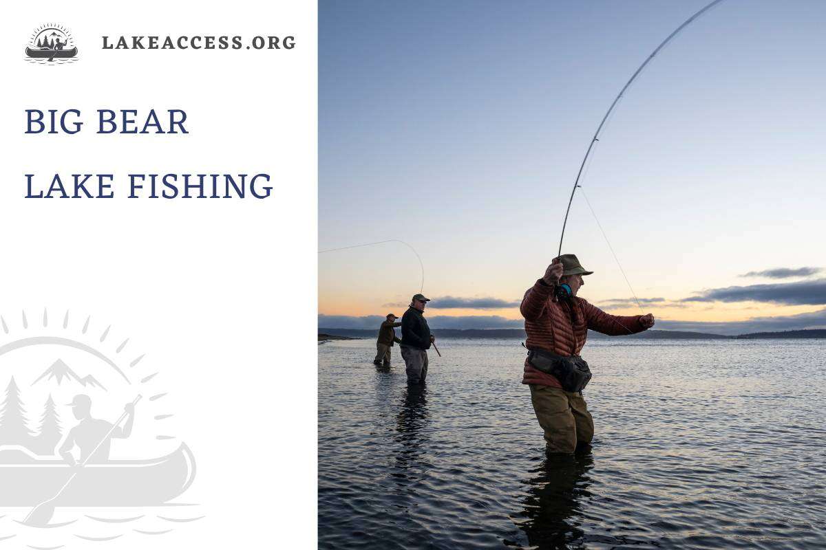 Big Bear Lake Fishing: Species, Best Spots, and More.