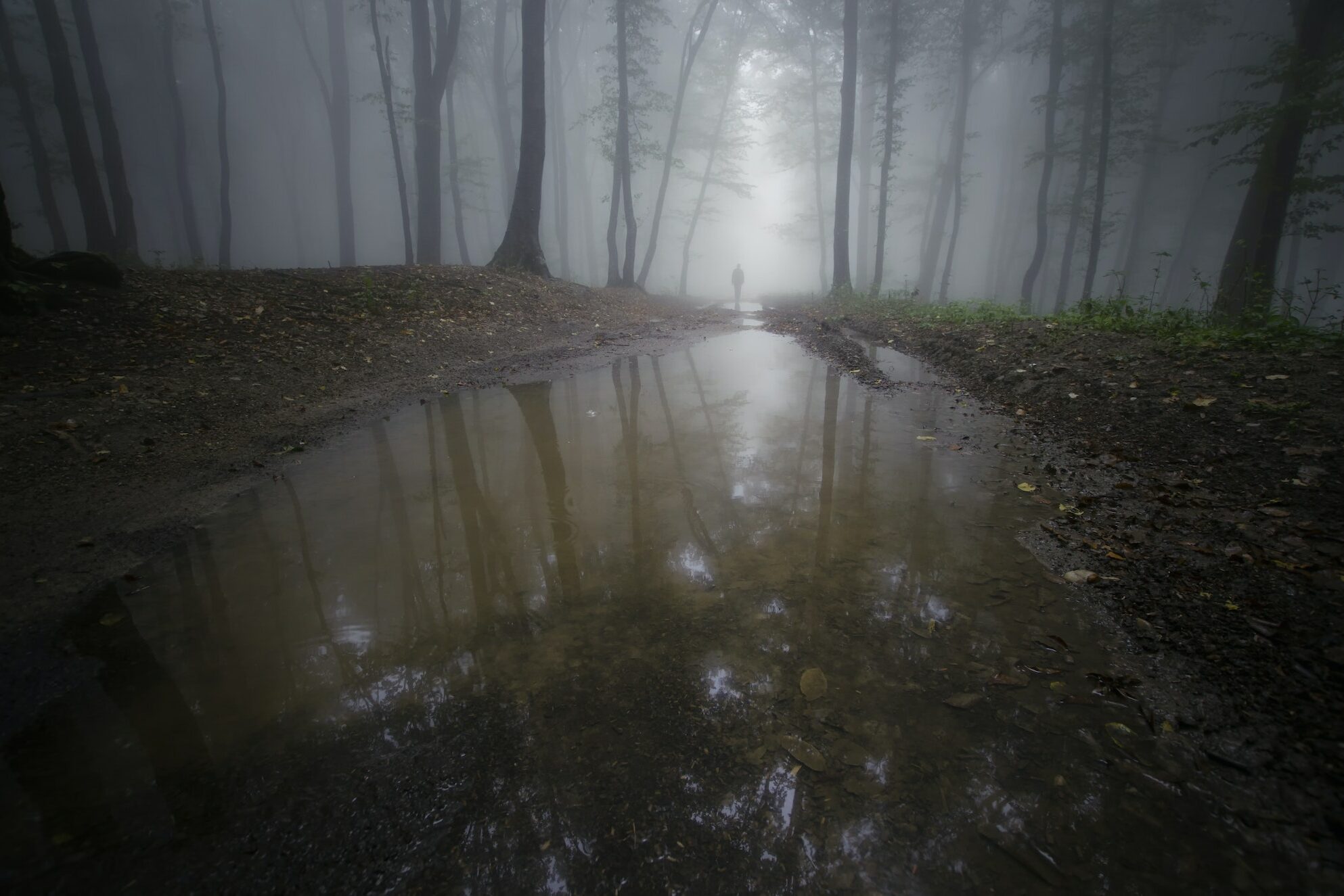 Lake in surreal forest with fog