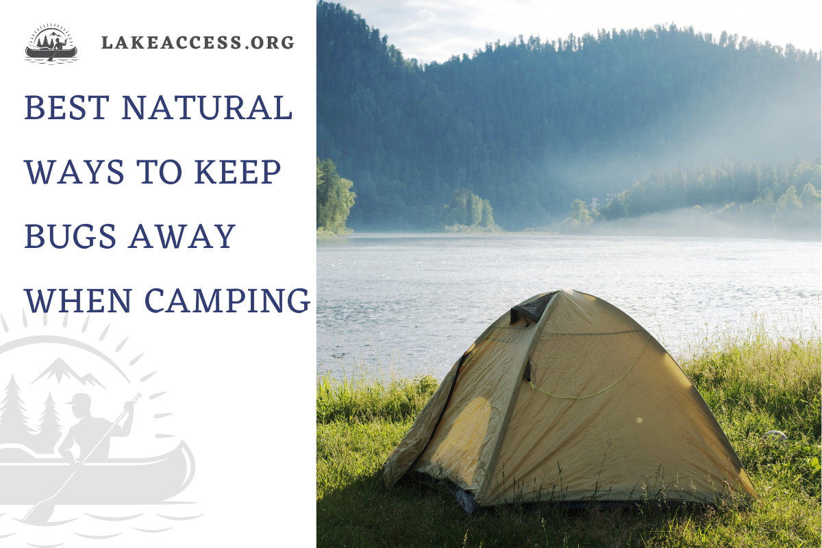 Best Natural Ways to Keep Bugs Away When Camping