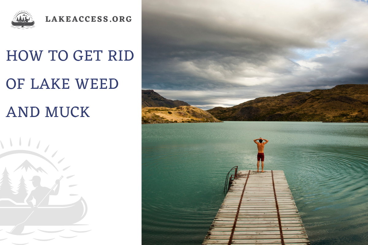 How to Get Rid of Lake Weeds and Muck