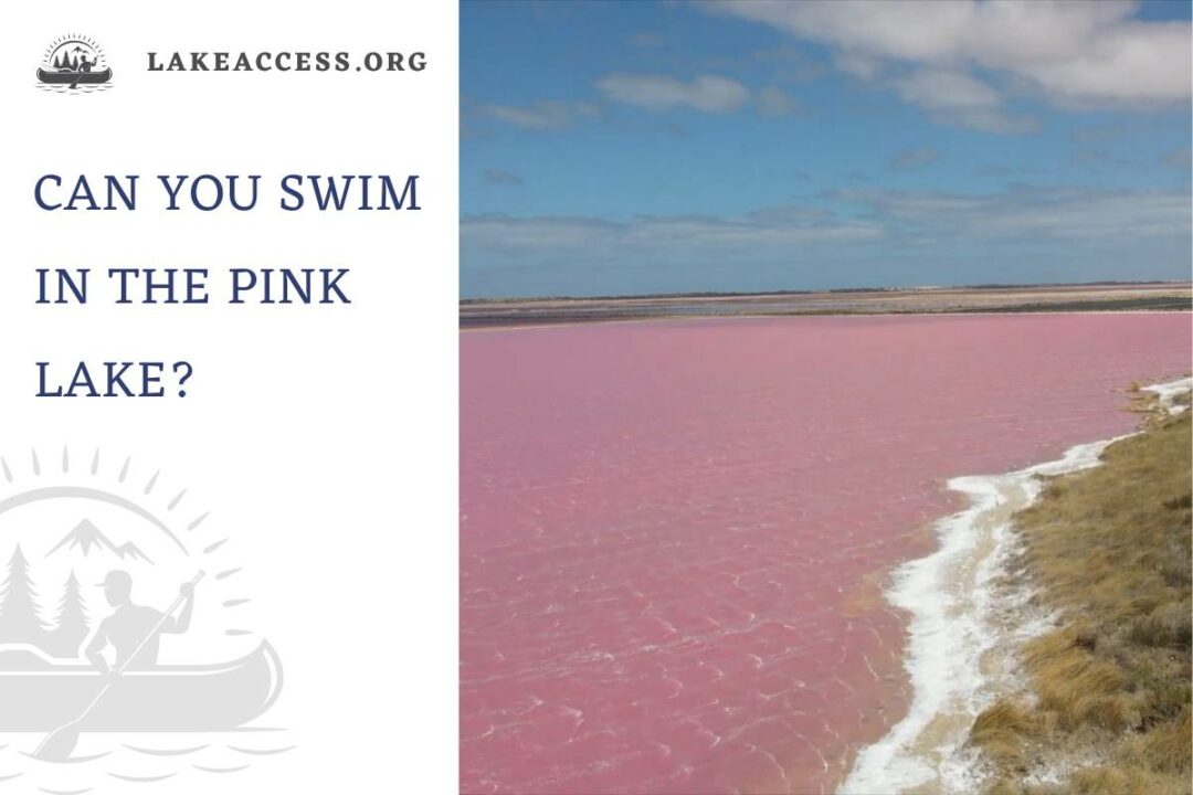 Can You Swim in a Pink Lake? Lake Access