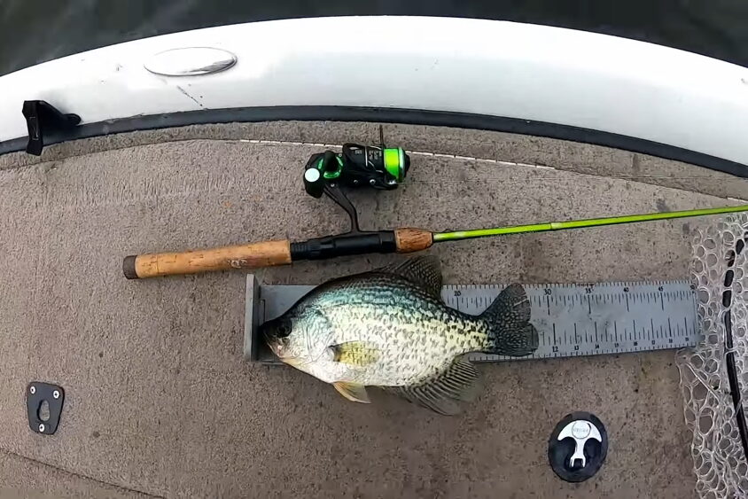 Crappie on a boat