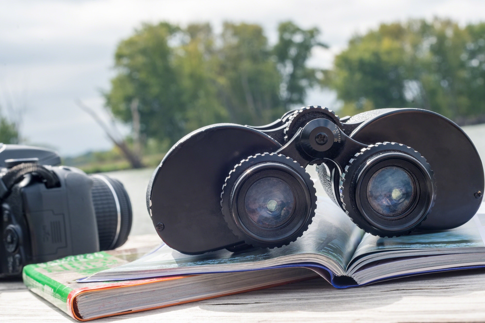 Binoculars and field guides for wildlife viewing