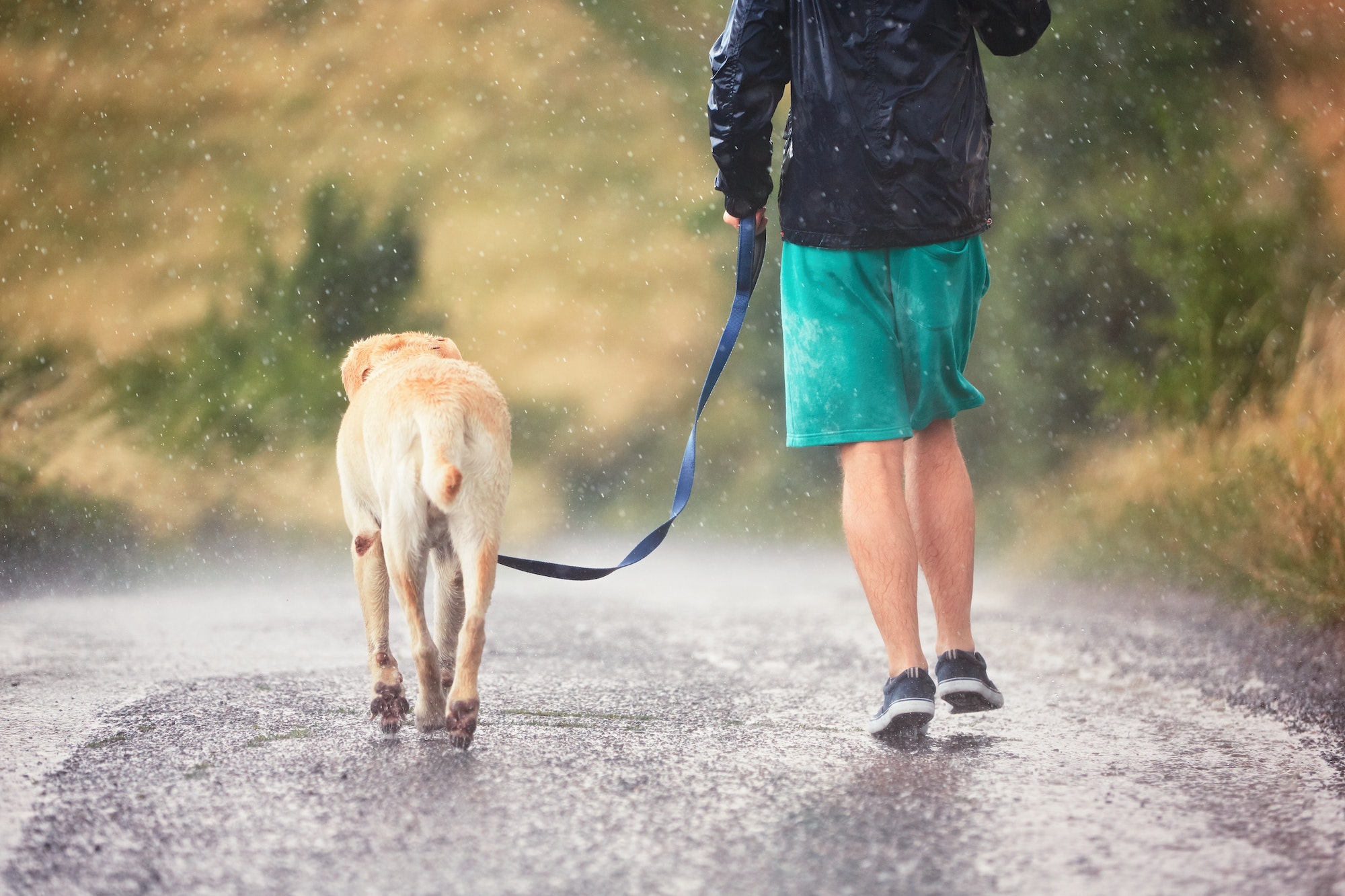 Man with dog in heavy rain