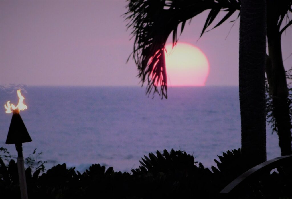 Romantic Tropical Sunset! Shades of Purple Color the Sky! Moon Dips into the Horizon! NOMINATED!!