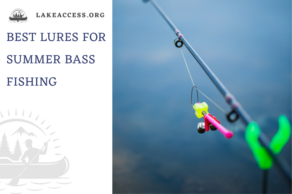 Best Lures for Summer Bass Fishing