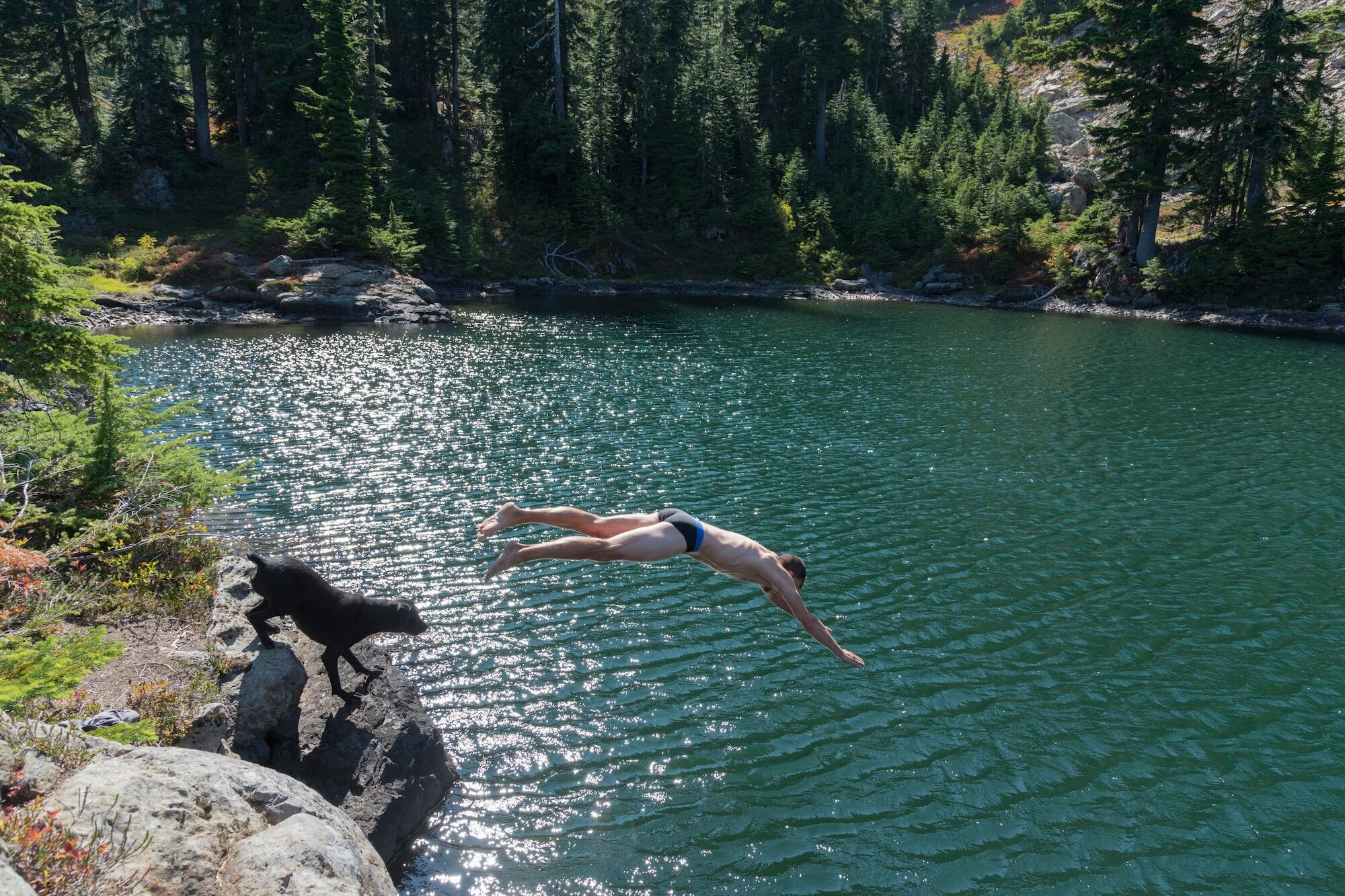 Man diving into alpine lake with his black dog about to jump in after