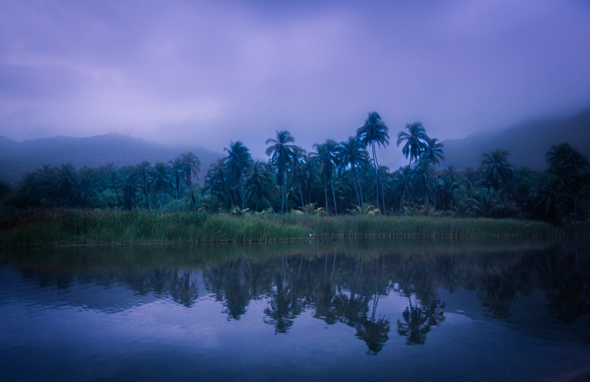 Tropical shore of lake in mist