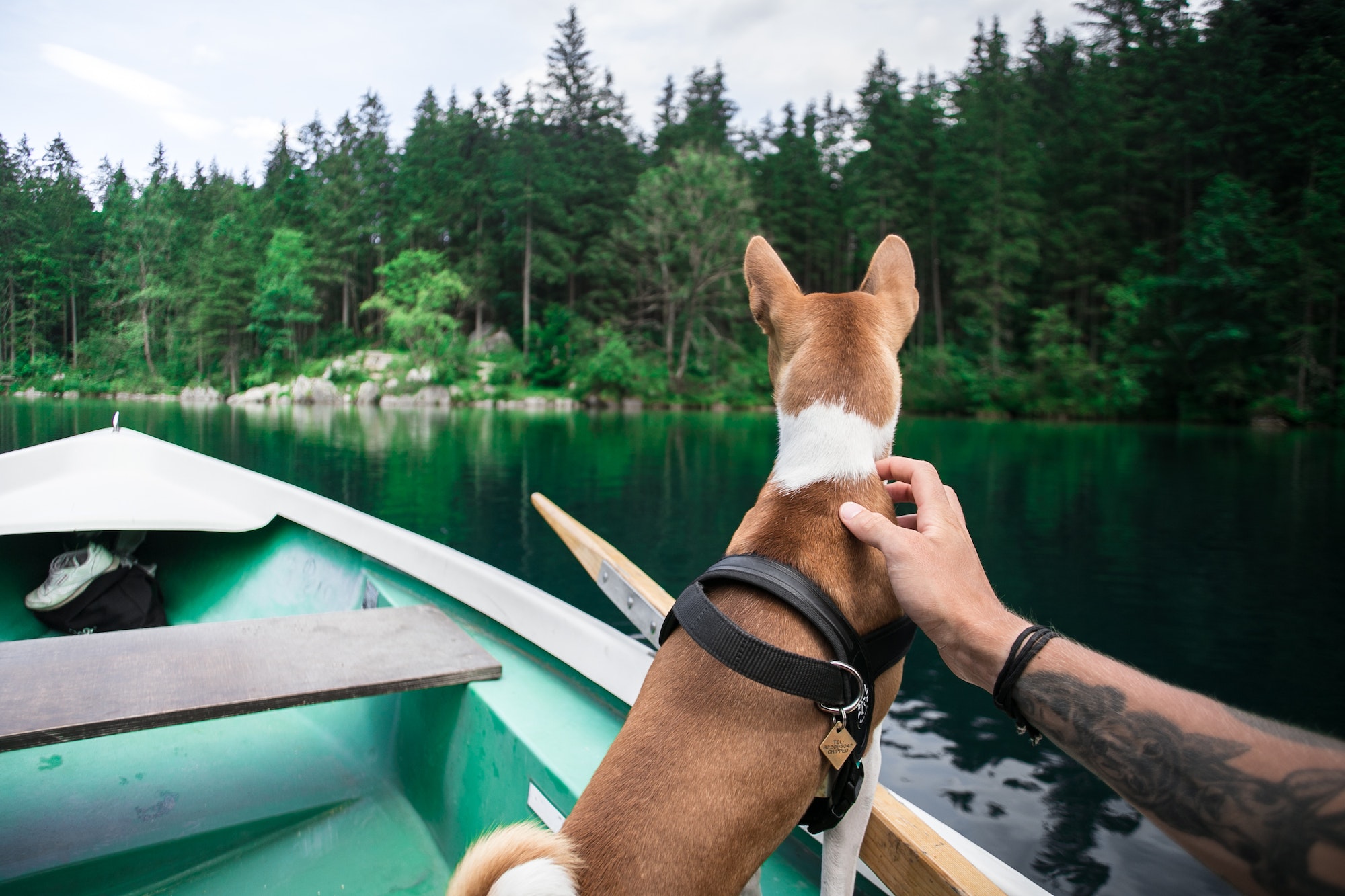 man and dog in a boat on a mountain lake