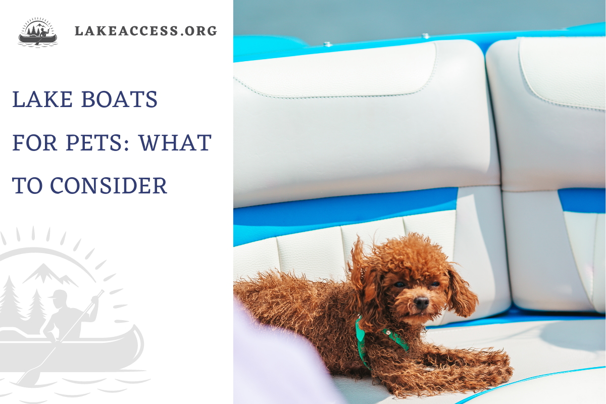 Lake Boats for Pets: What to Consider When Taking Your Pet Boating