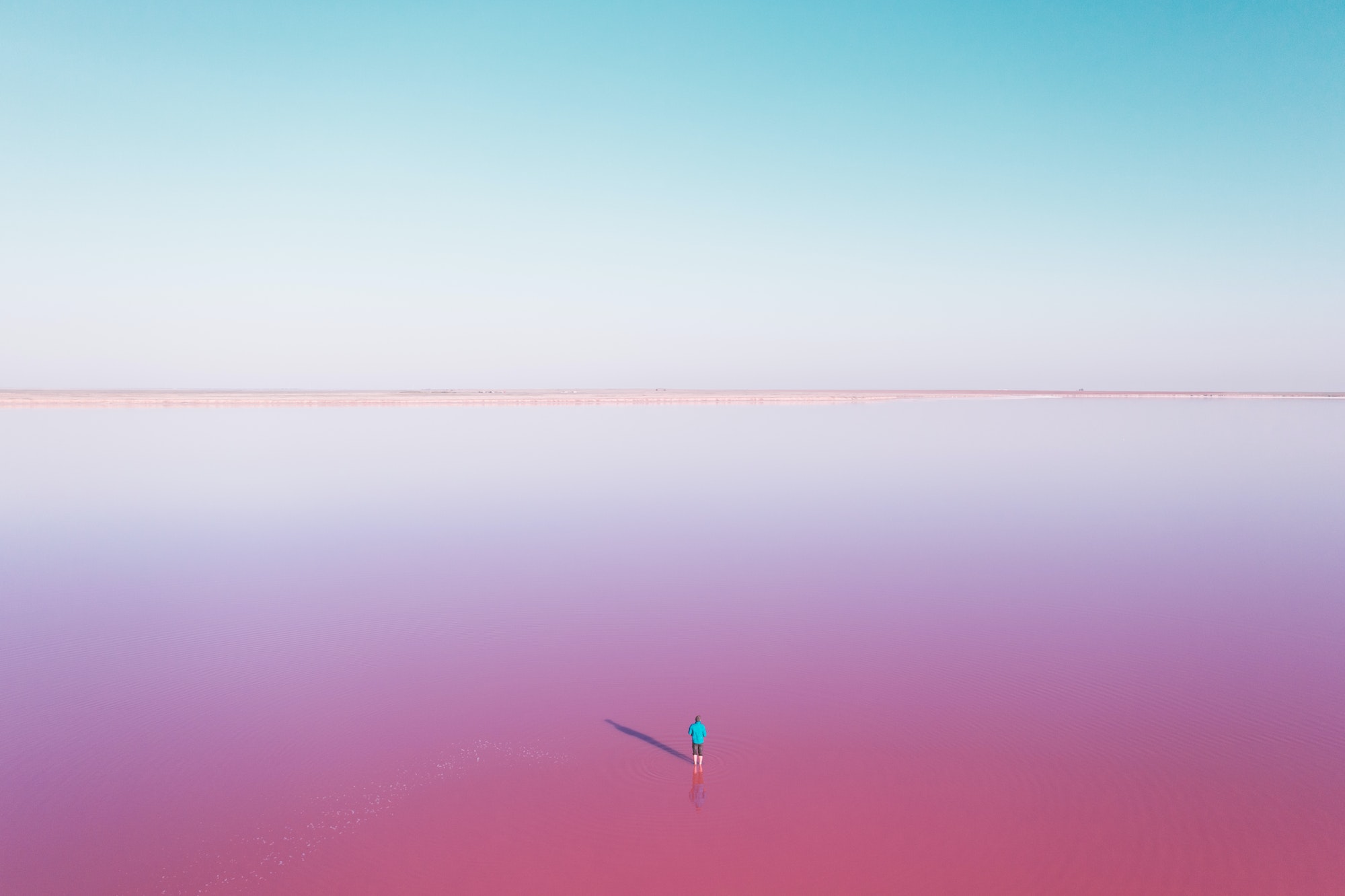 Lonely man in blue jacked in pink lake water