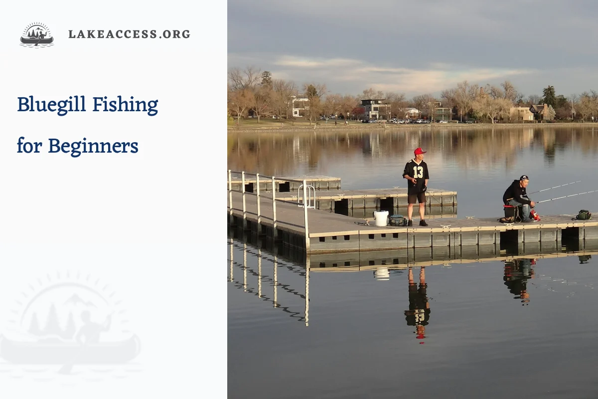 People fishing from a public dock on a calm lake, representing a simple supervised bluegill outing for beginners.