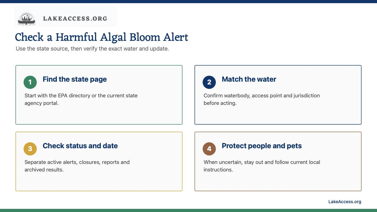 Infographic showing four steps for checking harmful algal bloom alerts: find the state page, match the water, check status and date, and protect people and pets.