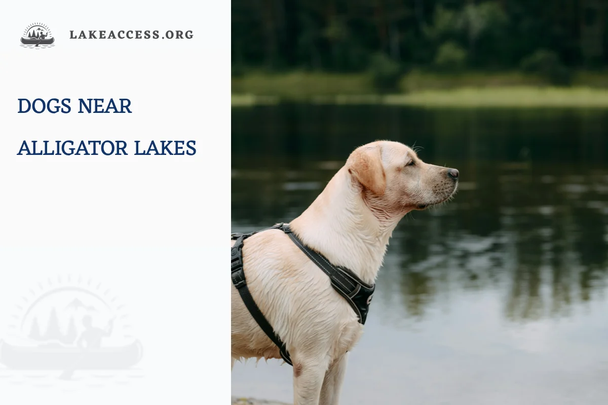 Leashed dog standing beside a lake with its handler, used as representative licensed photography for shoreline pet planning.